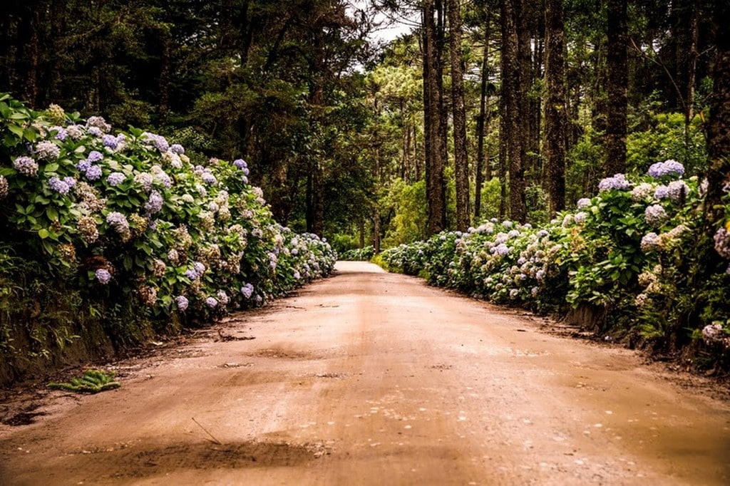 O que fazer em Campos do Jordão – 17 atrações imperdíveis