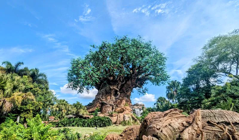 As melhores atrações do Animal Kingdom, na Disney World