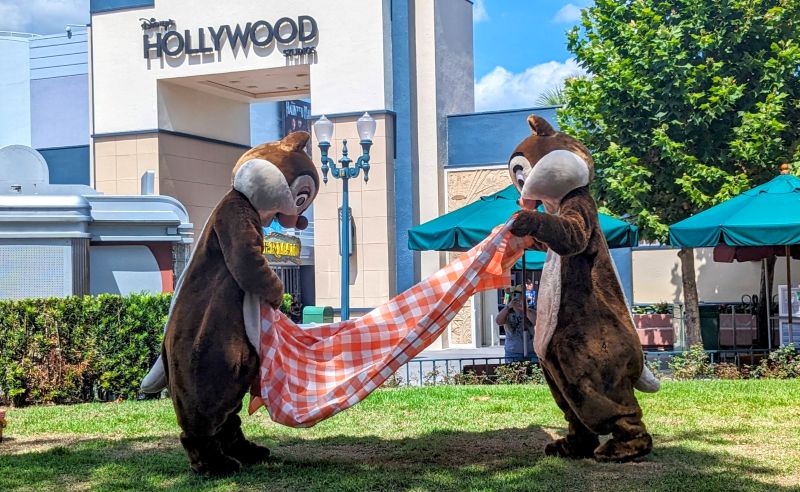 As melhores atrações do Hollywood Studios, na Disney World