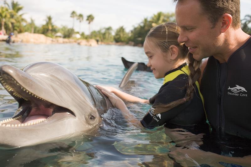 O que fazer no Discovery Cove, em Orlando - Atrações e dicas