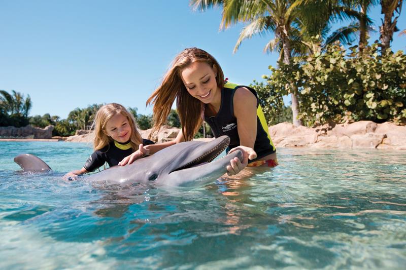 O que fazer no Discovery Cove, em Orlando - Atrações e dicas