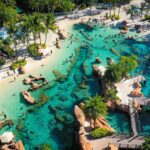 O que fazer no Discovery Cove, em Orlando &#8211; Atrações e dicas