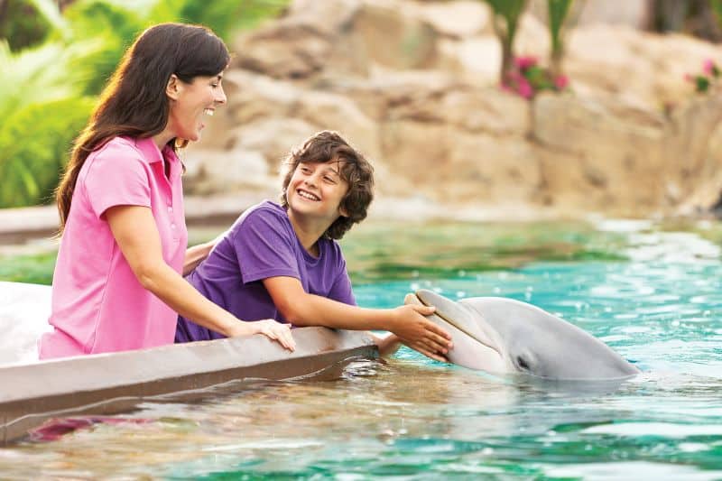 SeaWorld Orlando – Roteiro completo com atrações e dicas