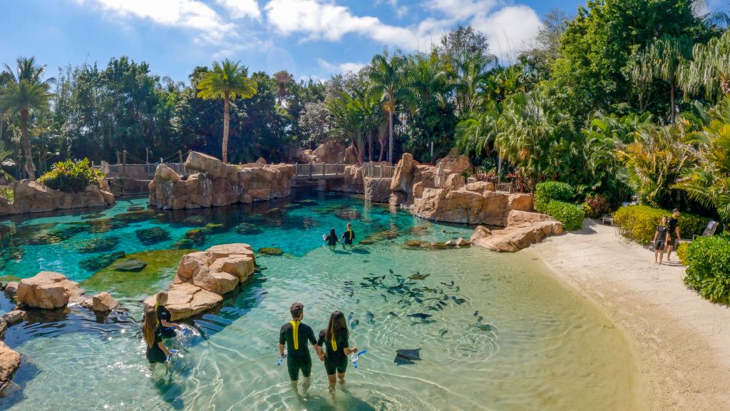 Discovery Cove – Conheça as novas experiências com animais