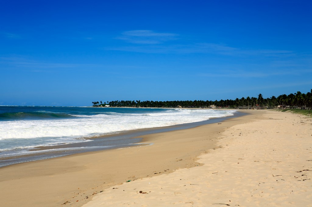 O que fazer em Porto de Galinhas – 9 atrações imperdíveis e dicas