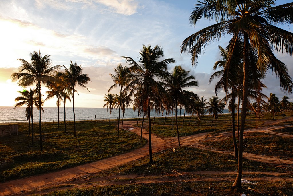 O que fazer em Porto de Galinhas – 9 atrações imperdíveis e dicas