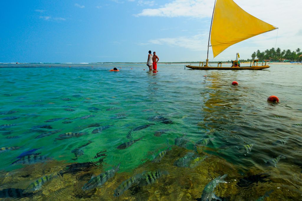 O que fazer em Porto de Galinhas – 9 atrações imperdíveis e dicas