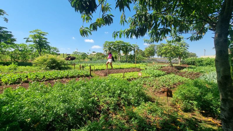 Hotel Fazenda Areia que Canta, em Brotas – Veja nossa avaliação