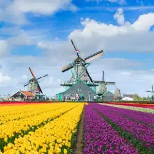 Seguro viagem Holanda – Como escolher e economizar