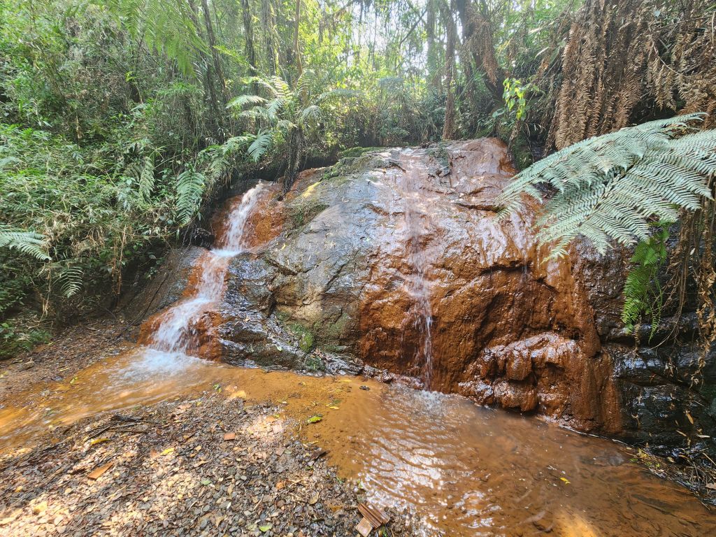 Domo da Montanha oferece imersão na natureza em Monte Verde