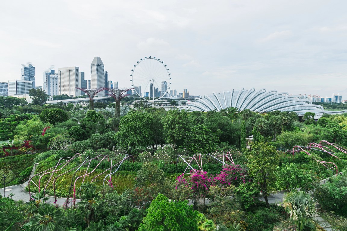 O que fazer em Singapura – 17 atrações imperdíveis e dicas