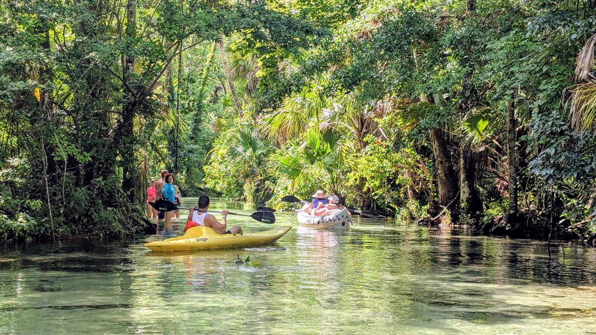 Orlando fora dos parques surpreende com boa gastronomia, esportes, compras e até passeios na natureza