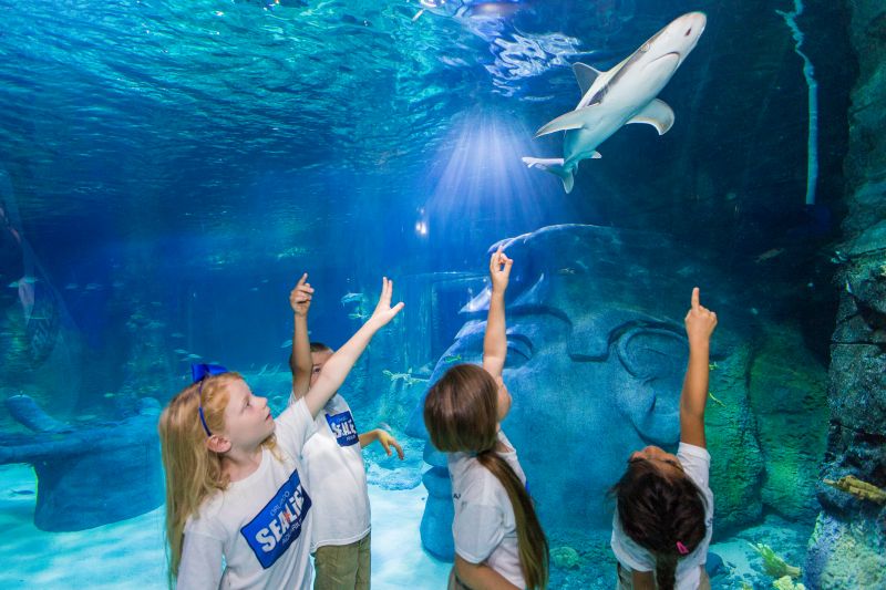 O que fazer no ICON Park: roda-gigante, aquário e atrações em Orlando